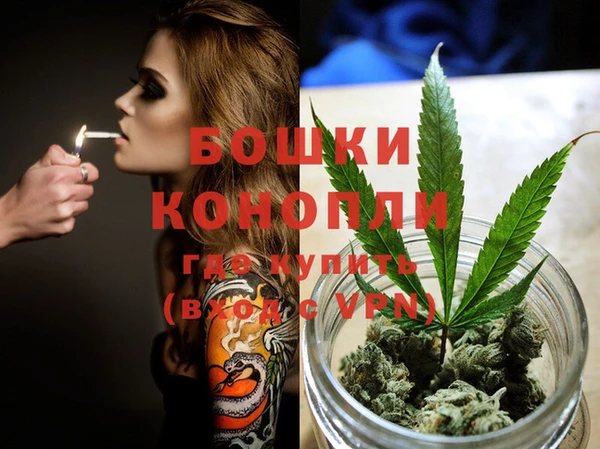 spice Бородино