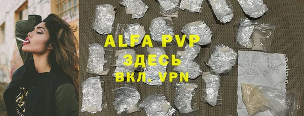 индика Богданович