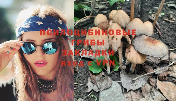 индика Богданович