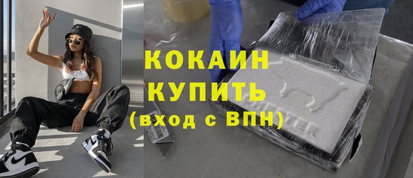 spice Бородино