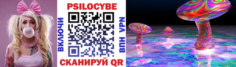 Псилоцибиновые грибы Cubensis  Видное 